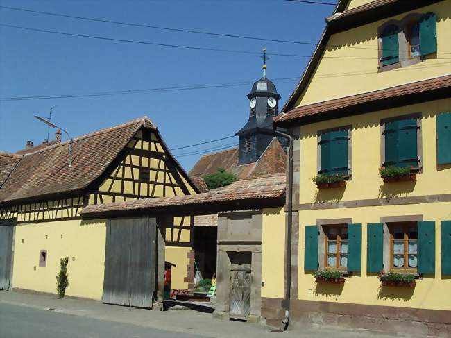 Vue d'une maison à Wickersheim-Wilshausen - Wickersheim-Wilshausen (67270) - Bas-Rhin