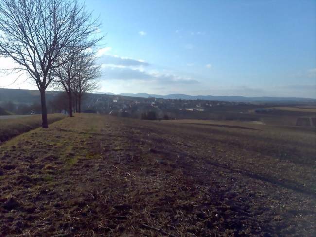 Vue du village - Willgottheim (67370) - Bas-Rhin