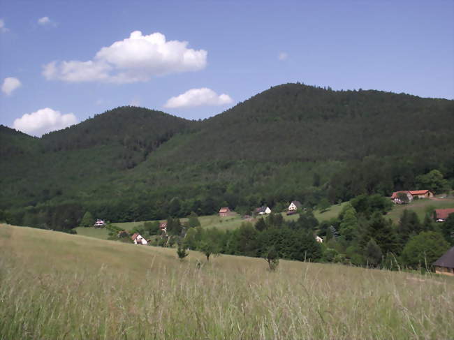 Environs de Windstein Sommets du Mittelkopf (515 m) et du Steinkopf (515 m) - Windstein (67110) - Bas-Rhin