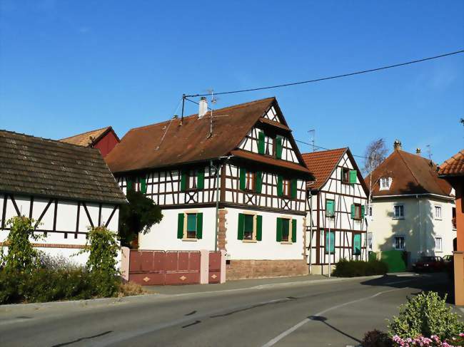 Maisons à colombages dans le village - Witternheim (67230) - Bas-Rhin