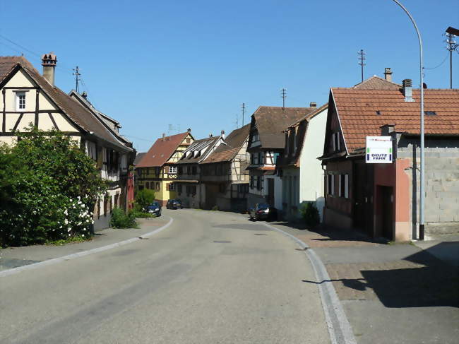 La rue principale avec ses maisons à colombages - Zellwiller (67140) - Bas-Rhin