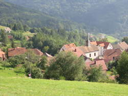 photo Fête des myrtilles