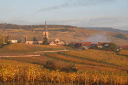 photo Marché de Noël au Domaine Meyer