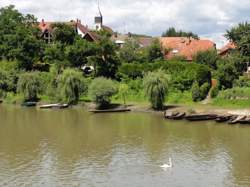 photo Le delta de la Sauer un milieu humide