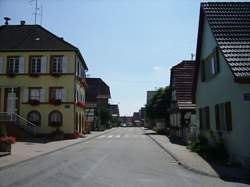 photo Trimbach