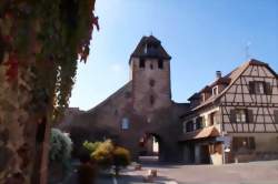 photo Bar à vin éphémère au Domaine Thierry Martin