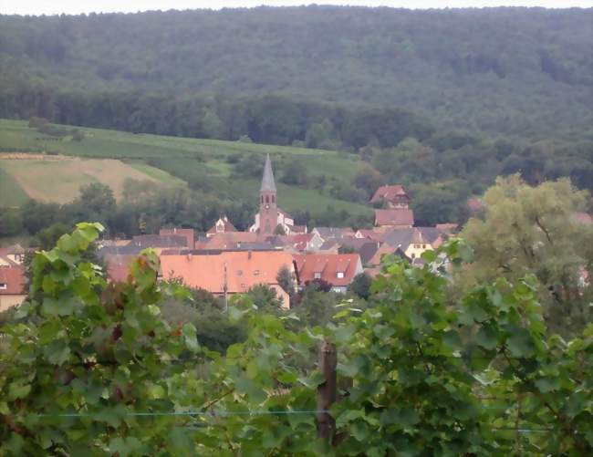 Vue du village - Bergholtzzell (68500) - Haut-Rhin