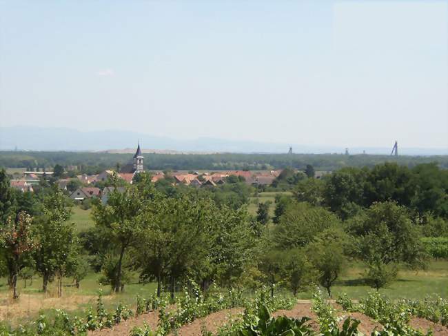 Vue du village - Berrwiller (68500) - Haut-Rhin