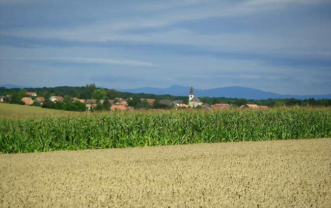 Galfingue, dans le Sundgau - Galfingue (68990) - Haut-Rhin