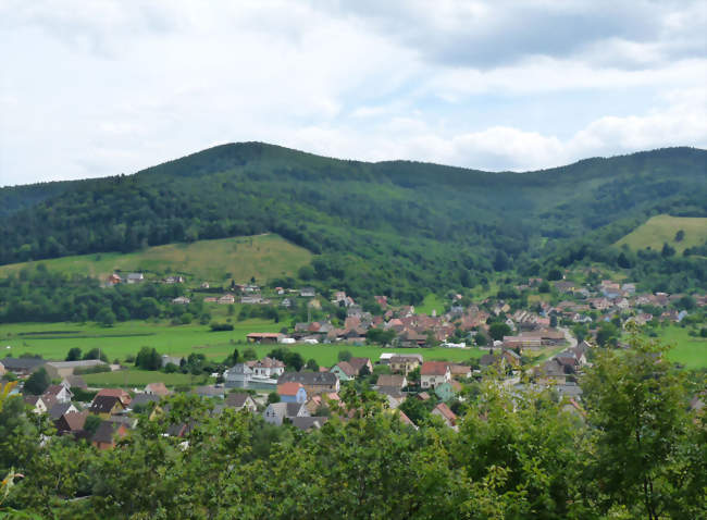 Griesbach-au-Val vu depuis Gunsbach - Griesbach-au-Val (68140) - Haut-Rhin