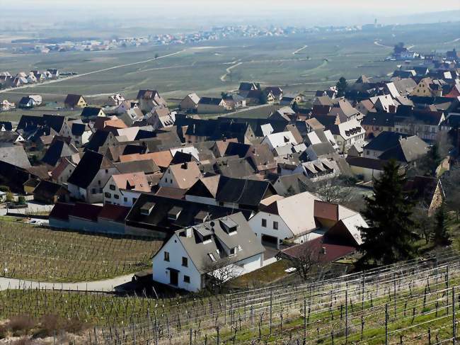 Une partie du village de Gueberschwihr vu depuis les hauteurs - Gueberschwihr (68420) - Haut-Rhin