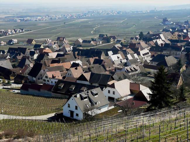 Visite de cave et dégustation au féminin - Domaine GUETH