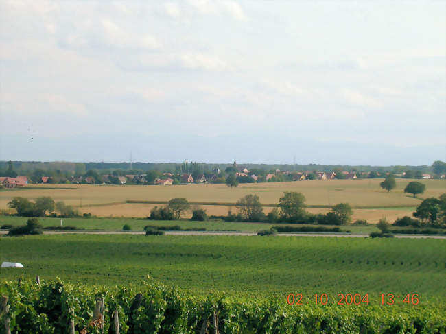 Vue sur Gundolsheim - Gundolsheim (68250) - Haut-Rhin