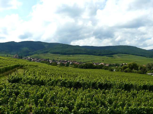 Hunawihr : découverte du sentier viticole et du village