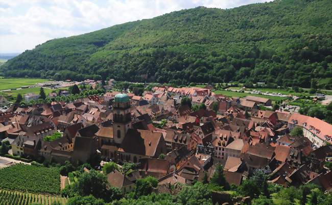 Visite guidée - Sigolsheim et le célèbre vin de Sigold