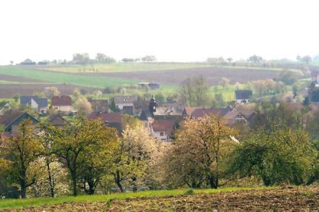 Vue du village - Knringue (68220) - Haut-Rhin