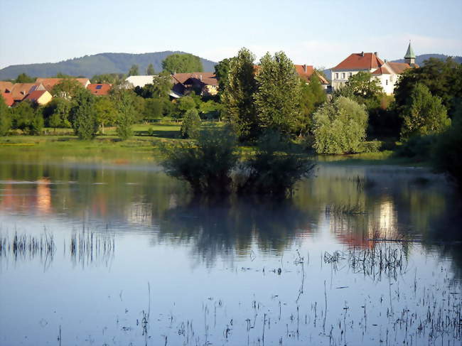 Michelbach, depuis la rive nord de la retenue d'eau - Michelbach (68700) - Haut-Rhin