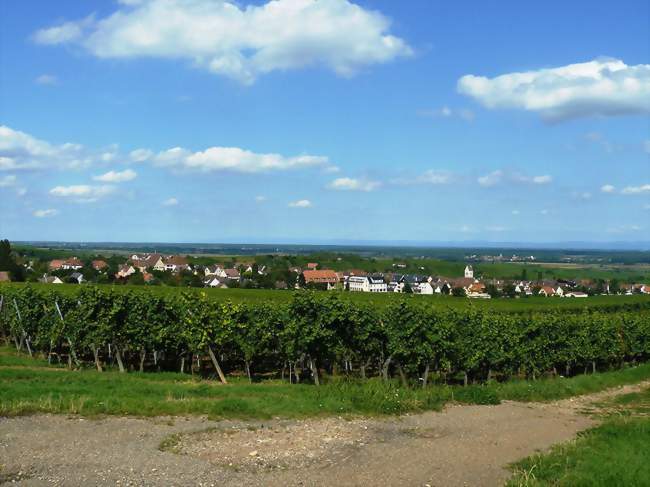Mittelwihr vue depuis le vignoble - Mittelwihr (68630) - Haut-Rhin