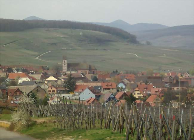 Orschwihr vu du vignoble - Orschwihr (68500) - Haut-Rhin