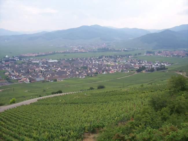 Vue du village de Sigolsheim - Sigolsheim (68240) - Haut-Rhin
