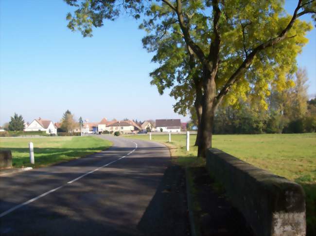 Route de Forschwihr Entrée Ouest du village - Urschenheim (68320) - Haut-Rhin