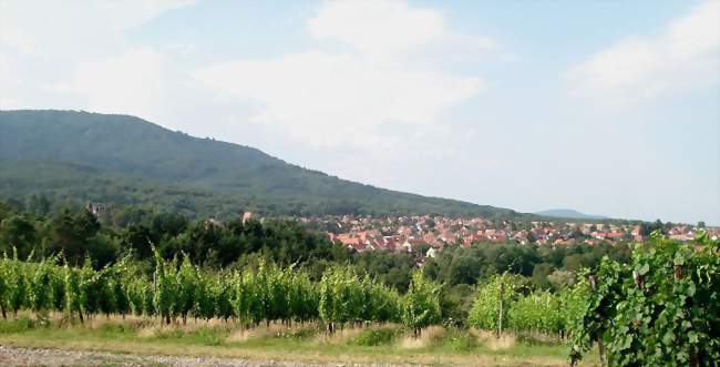 Vue du village depuis le Nodelberg - Wattwiller (68700) - Haut-Rhin