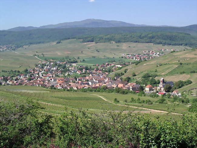 Vue de Westhalten depuis le Schlossberg - Westhalten (68250) - Haut-Rhin