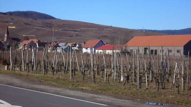 L'entrée du village de Wettolsheim - Wettolsheim (68920) - Haut-Rhin