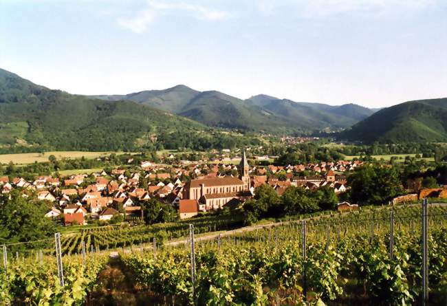 Espace extérieur de dégustation et circuits de balade dans le vignoble !