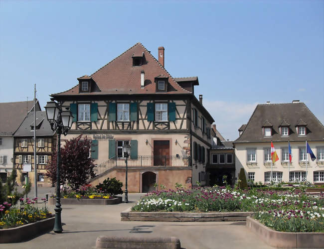 Aide de cuisine de collectivité
