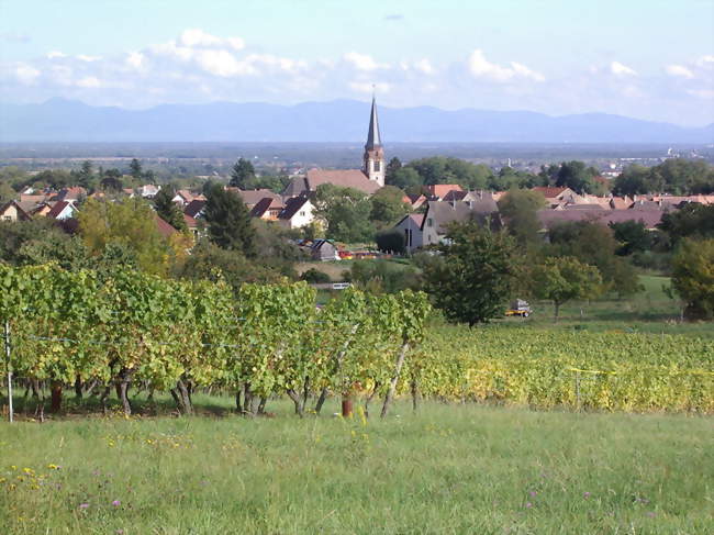 Vue de Wuenheim - Wuenheim (68500) - Haut-Rhin