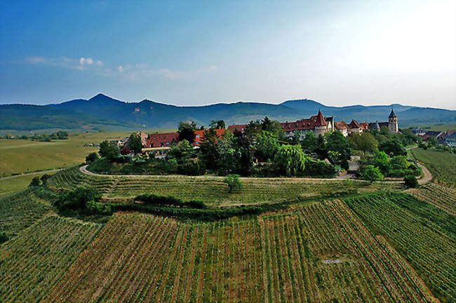 Photo aérienne de Zellenberg - Zellenberg (68340) - Haut-Rhin