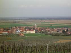 photo Visite à vélo : Le patrimoine vigneron