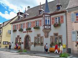 photo Apéro Gourmand chez le vigneron indépendant d'Alsace - Bruno Hertz