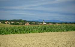 Visite guidée du domaine de Maurice