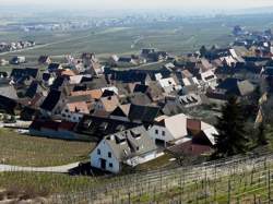 photo Apéro Gourmand chez le vigneron indépendant d'Alsace -  Vins de Terroirs et Vieilles Vignes