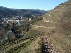 photo Vélo : Les circuits du Florival (route, gravel et VTT)