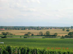 photo Marché du terroir