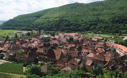 photo Planchette gourmande - vins d'alsace Bernard HAAS et fils