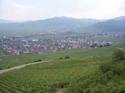 photo Sigolsheim