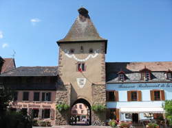photo Trail Alsace Grand Est by UTMB