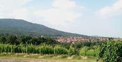 photo Exposition : traces funéraires et mémorielles dans le Massif des Vosges