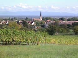 Wuenheim