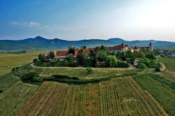 photo Atelier Vigneron d'un jour au domaine Jean Huttard