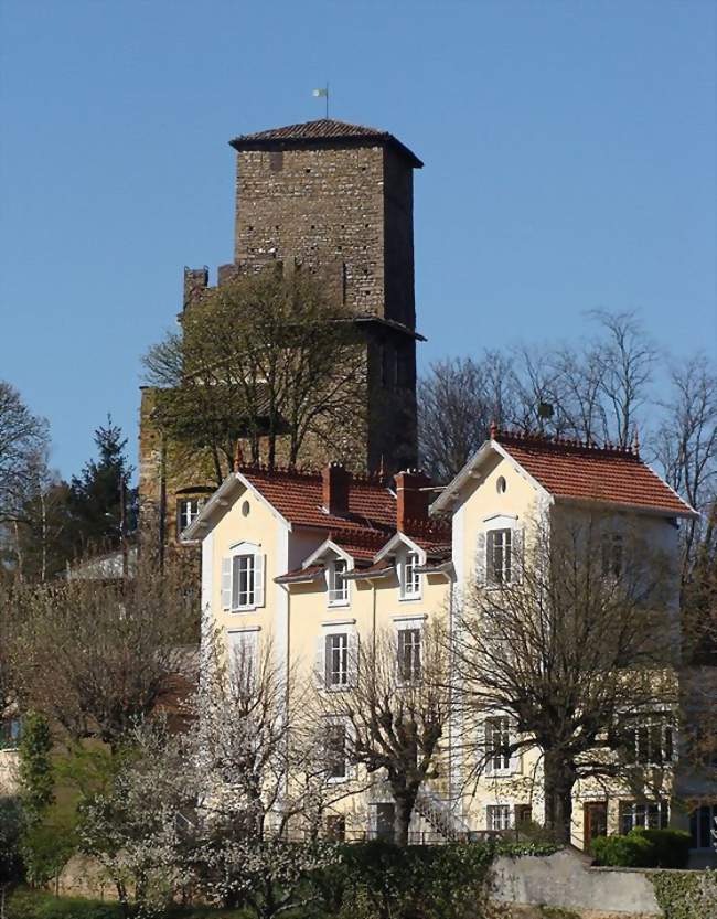 Le vieux château - Albigny-sur-Saône (69250) - Rhône