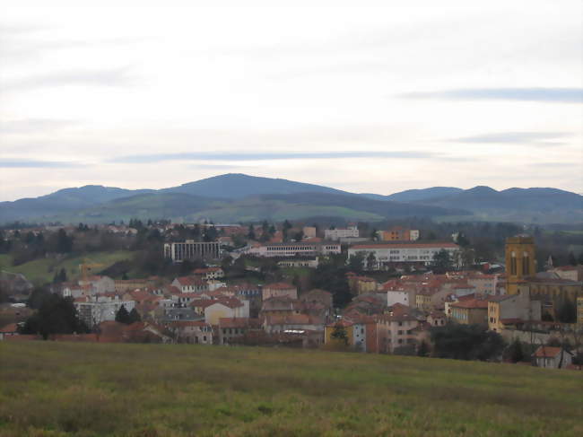 Vue générale de la ville - L'Arbresle (69210) - Rhône