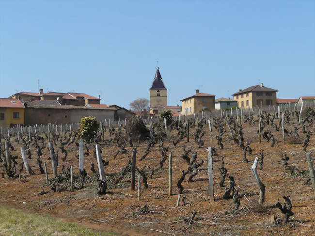 Vue générale de Charnay et du vignoble - Charnay (69380) - Rhône