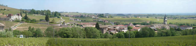 Panorama de Chénas en 2009 - Chénas (69840) - Rhône