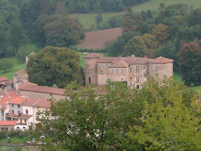 Vue lointaine du château de Joux - Joux (69170) - Rhône