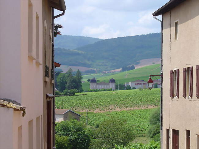 Le vignoble à Juliénas - Juliénas (69840) - Rhône